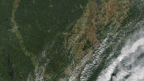 Sally podría dejar caer de 10 a 20 pulgadas de lluvia entre Mississippi y la península de Florida.