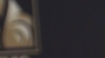 Sandra Echeverría en Premio Lo Nuestro 2020.