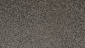 El dinosaurio vivió hace unos 67 millones de años y se encuentra en muy buen estado.