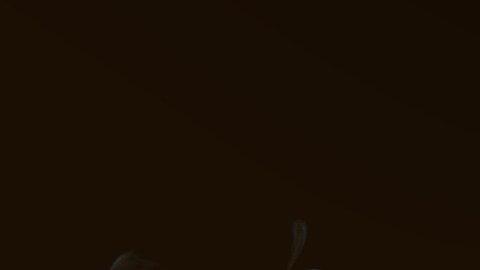 El anillo de fuego le jugó una mala pasada al acróbata.