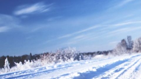 llantas para nieve
