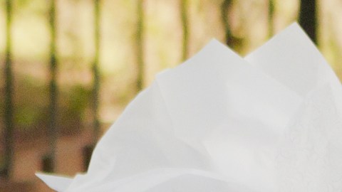 3 mujeres se colaron a la fiesta y engañaron a todos.