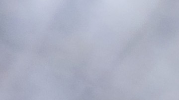 Nadie se dio cuenta que el bebé salió al jardín.