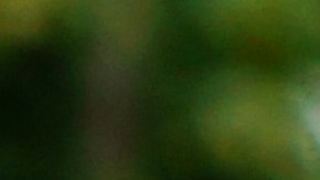 El joven tomó esta decisión porque está cansado de conocer a las personas incorrectas.