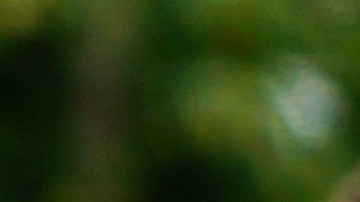 El joven tomó esta decisión porque está cansado de conocer a las personas incorrectas.