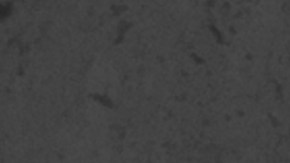 shutterstock_191835143