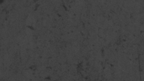 shutterstock_191835143