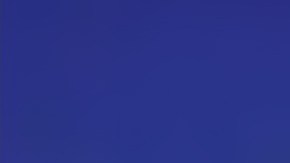 Dicen ser una familia muy feliz.