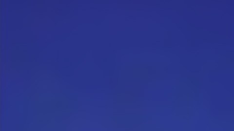 Dicen ser una familia muy feliz.