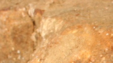 La serpiente mordió al hombre en la mano.