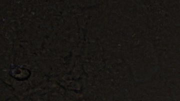 shutterstock_258079826