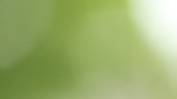 La joven tuvo que contener la emoción para no interrumpir su clase.