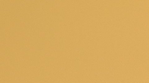 shutterstock_310383950