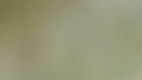 Creía que tenía el matrimonio perfecto pero todo era mentira.