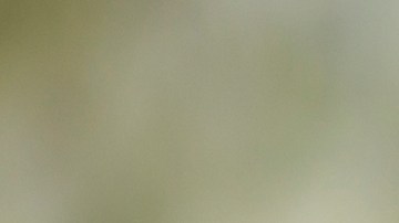 Creía que tenía el matrimonio perfecto pero todo era mentira.