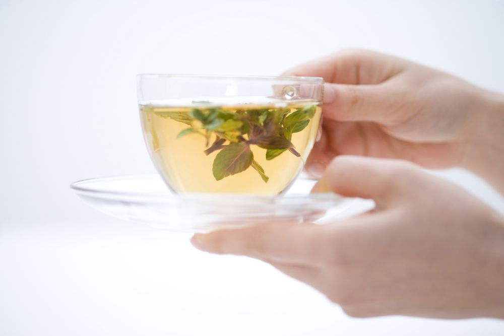 ¿Por qué las hojas de sen son un laxante natural y previene la