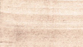 Al abrir la caja descubrieron algo terrible.