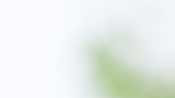 Desde los 4 meses, la bebé llevó una dieta vegana.