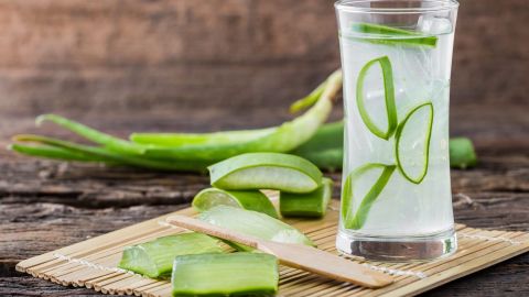 aloe vera