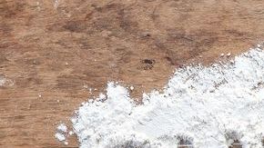 El único tratamiento conocido para la celiaquía es seguir una dieta libre de gluten de por vida.