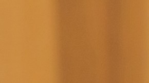 Varios usuarios le explicaron que se trataba de excremento de araña.