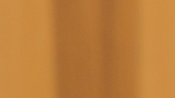 Varios usuarios le explicaron que se trataba de excremento de araña.