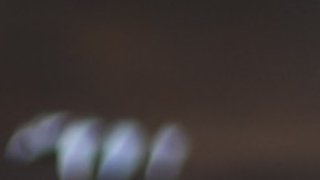 EL joven se encontraba ya en estado de ebriedad.