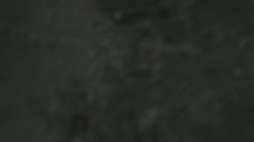 El doctor que atendió el parto fue quien denunció el hecho.