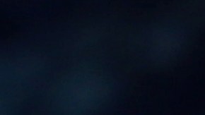 Su idea costó varios cientos de miles de dólares.