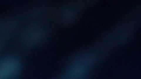 Su idea costó varios cientos de miles de dólares.