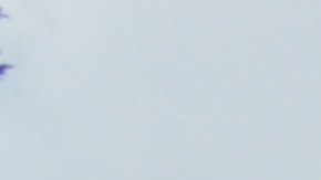 La casa estaba por dentro en ruinas y llena de humedad, pero escondía un valioso tesoro artístico.