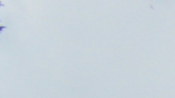 La casa estaba por dentro en ruinas y llena de humedad, pero escondía un valioso tesoro artístico.