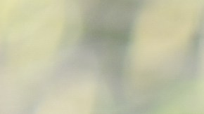 El amor a flor de piel en este video.