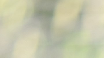 El amor a flor de piel en este video.