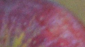 Batido de manzana y cítricos.