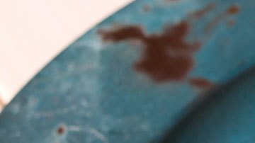 Por solo $1 dólar, podrás darte todo un festín de tacos.