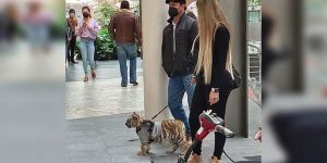 Mujer desata polémica por pasear cachorro de tigre de bengala en centro comercial