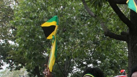 El Desfile anual de Indias Occidentales en Brooklyn se ha tornado violento debido a la acción de pandillas, según la policía.