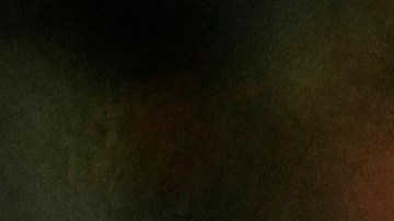 Donald Trump coronavirus