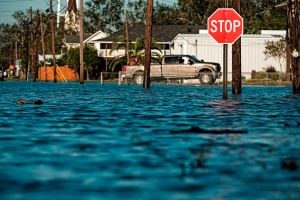 Prueban a racistas que inmigrantes no son responsables del cambio climático