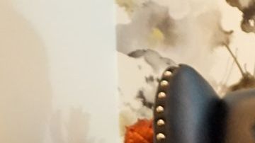 Vicente Fernández Jr.