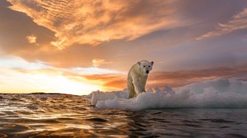 El ritmo de calentamiento en el Ártico es el doble que en el resto del planeta.
