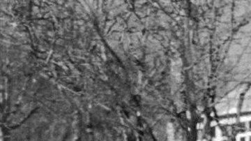 114731831_gettyimages-1192543301