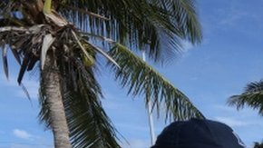 114788025_tv063701763