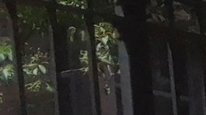 Centro electoral en Midtown East, NYC.