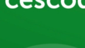 Licencias de conducir virtuales