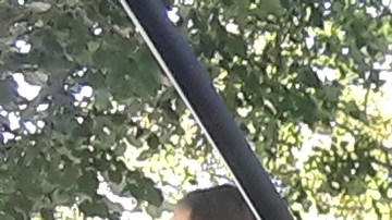 Las Revel se han incorporado al paisaje vial