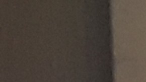 Filas para votar en Madison Square Garden