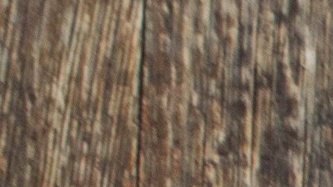 Panenka estuvo internado en el nosocomio más de una semana.