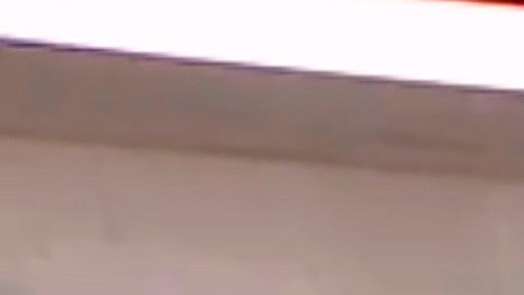 Joe Biden también elogió a su esposa.